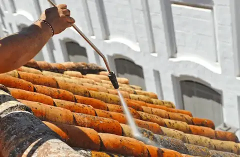 Nettoyage de toitures - Bâgé-le-Châtel